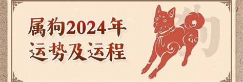 1982狗女|1982年属狗人2024年全年运势详解 42岁生肖狗2024年。